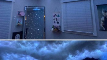 Keren sih, tapi bayangkan ada serangga yang bersarang di sana, ujar salah seorang netizen. Foto: Ashley Westover via Bored Panda