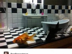 Karya Super Cantik Tapi Juga Bikin Bingung