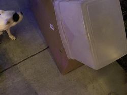 Cerita Kiriman Paket dari yang Kocak sampai Ngeselin