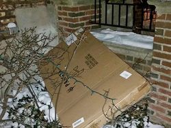 Cerita Kiriman Paket dari yang Kocak sampai Ngeselin