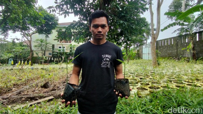 Pemuda 25 tahun asal Desa Bandorasa Kulon, Cilimus, Kuningan, Jabar ini memilih menjadi petani ketimbang bekerja di perusahaan. Kini dia menanam ribuan pohon jahe merah.