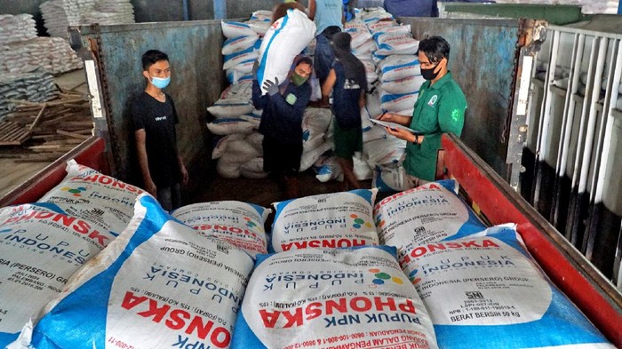 Meski ditengah pandemi dan memasuki musim tanam, Pupuk Indonesia terus mendorong distributor untuk mempercepat penyaluran pupuk kepada petani.