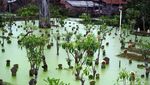 Penampakan Banjir Berwarna Hijau di Pekalongan