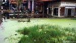Penampakan Banjir Berwarna Hijau di Pekalongan