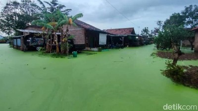 Penampakan Banjir Berwarna Hijau di Pekalongan