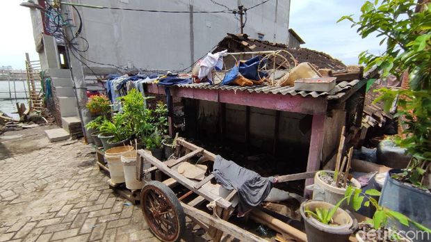Rumah-rumah pendek di kampung Tambaklorok Kota Semarang, Minggu (24/1/2021).