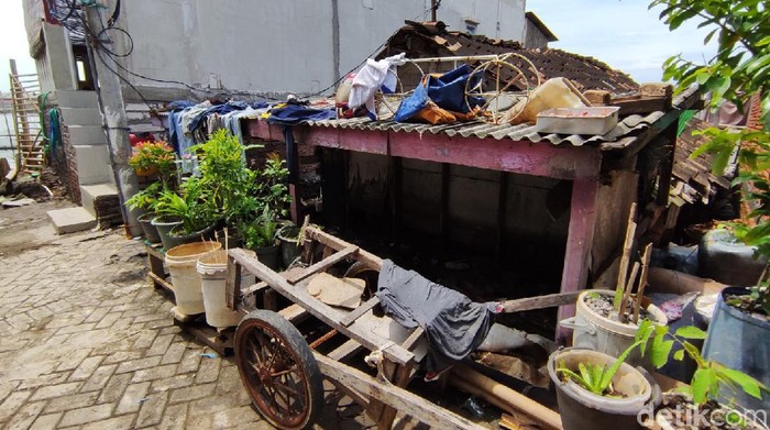 Penurunan muka tanah ditambah dengan rob di pesisir Kota Semarang, Jawa Tengah membuat banyak rumah yang permukaannya harus dinaikkan hingga lebih dari 2 meter. Sehingga rumah-rumah itu kini tampak sangat pendek dibanding rumah pada umumnya.