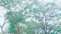 Venue depan sirkuit BMX.