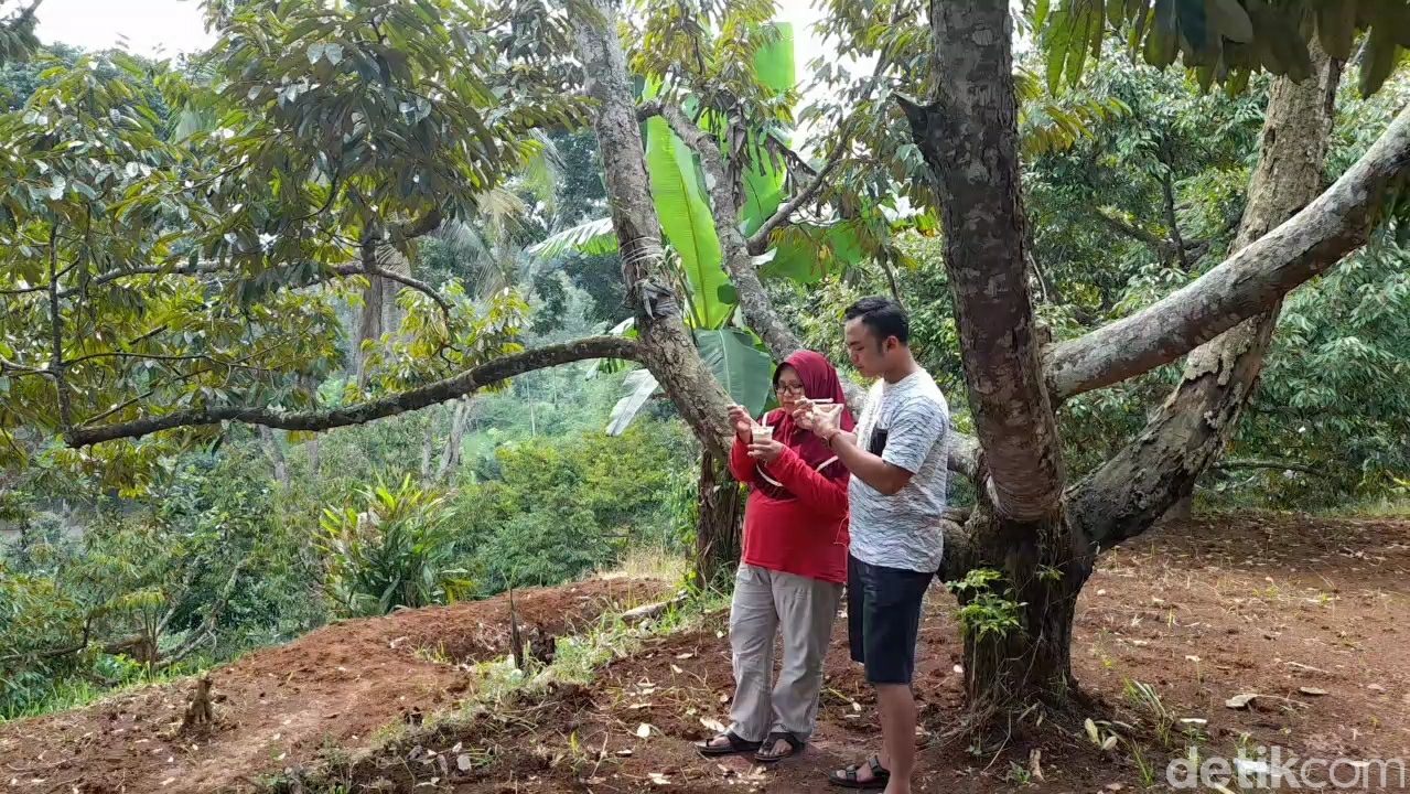 Kopi Dalgona Durian Ada di Brebes