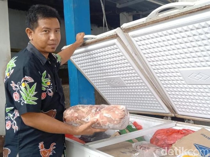 Distributor Sapi di Cirebon