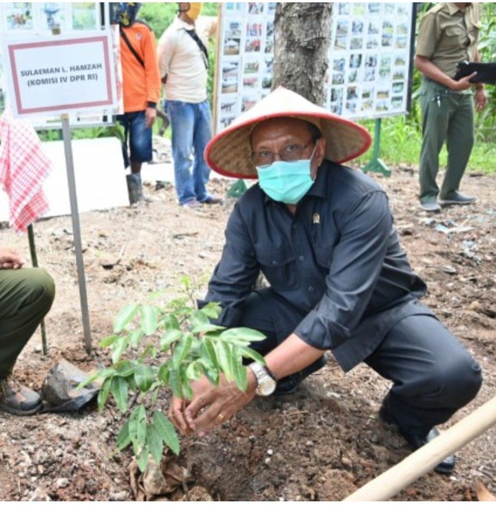 Ditjen Hortikultura (Kementan)
