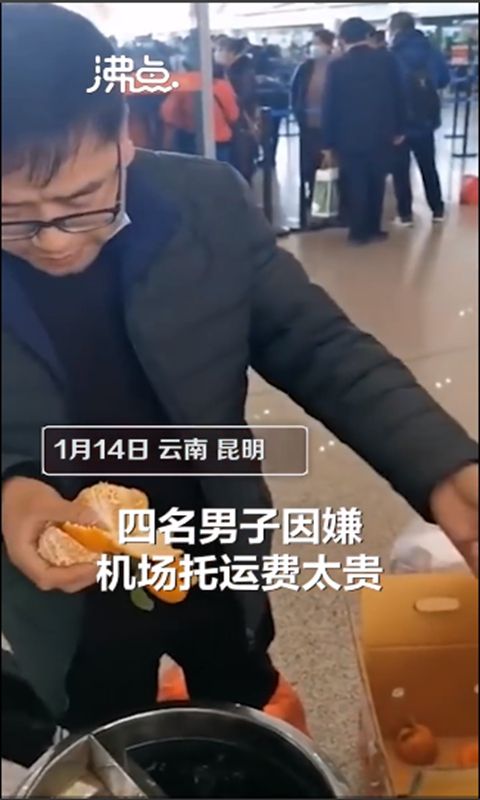Duh! Tak Mau Bayar Kelebihan Bagasi, Penumpang Ini Rela Makan 30 Kg Jeruk