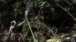 Mengais Legitnya Madu Hutan Gunung Lendono