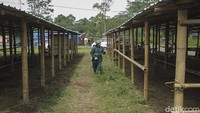 Guna mencegah persebaran virus, sejumlah relawan bersama dengan Dinas Pertanian, Perikanan dan Kehutanan Kabupaten Sleman menyemprotkan kandang ternak tersebut dengan cairan disinfektan.   