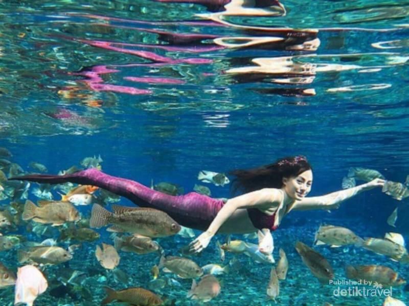 foto underwater dengan costum putri duyung