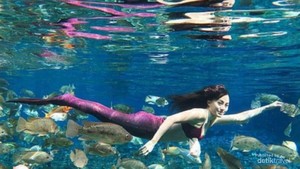 Pengalaman Magang di Umbul Ponggok yang Tak Terlupakan