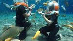 Pengalaman Magang di Umbul Ponggok yang Tak Terlupakan