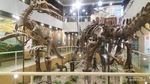 Berkeliling Museum-museum Keren di Beijing