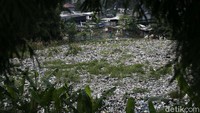 Pemandangan lautan sampah seluas lapangan bola di pinggir  Tol JORR, Kampung Caman Utara, Jaka Sampurna, Kota Bekasi, Senin (25/01/2021).
