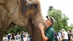 Momen Gajah Australia Rayakan Ulang Tahun ke-64