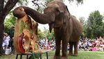Momen Gajah Australia Rayakan Ulang Tahun ke-64