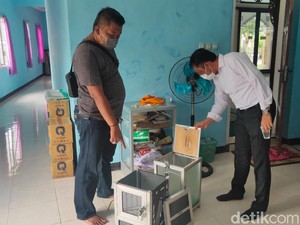 Aksinya Terekam CCTV, Pencuri Kotak Amal Masjid di Jember Tertangkap