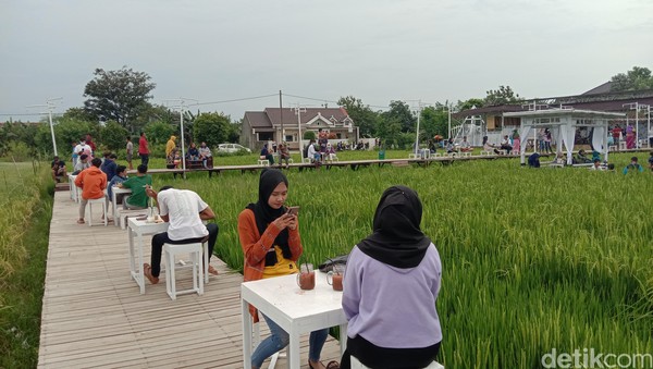 Di tengah sawah pengunjung bisa menikmati makanan dan keindahan alam bersama keluarga atau orang terdekat. Pengunjung bisa mengabadikan swafoto di resto tengah sawah baru viral tersebut. Di tengah sawah pengunjung bisa menikmati makanan dan keindahan alam bersama keluarga atau orang terdekat. Pengunjung bisa mengabadikan swafoto di resto tengah sawah baru viral tersebut.