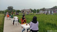 Di tengah sawah pengunjung bisa menikmati makanan dan keindahan alam bersama keluarga atau orang terdekat. Pengunjung bisa mengabadikan swafoto di resto tengah sawah baru viral tersebut.