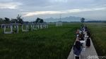 Foto: Resto Natural, Benar-benar Berada di Tengah Sawah