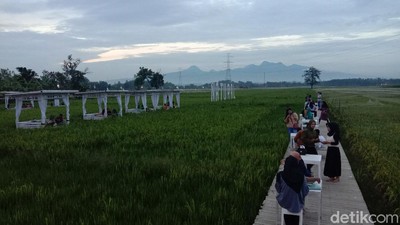 Foto: Resto Natural, Benar-benar Berada di Tengah Sawah