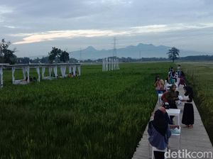 Foto: Resto Natural, Benar-benar Berada di Tengah Sawah