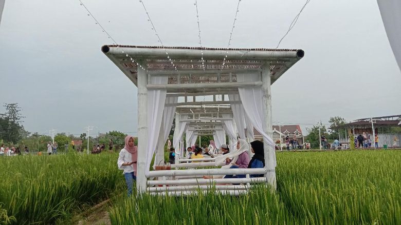 Kabupaten Kudus, Jawa Tengah memiliki tempat restoran yang baru hits. Namanya Resto Natural yang berada di tengah persawahan.