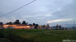 Foto: Resto Natural, Benar-benar Berada di Tengah Sawah