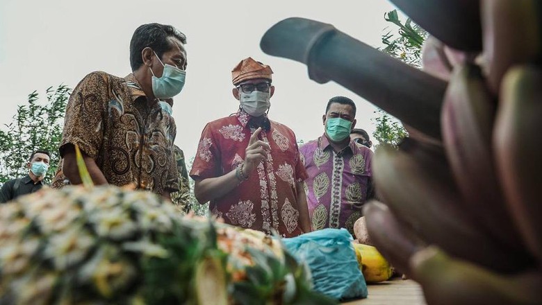 Sandiaga di Desa Ekang Angculai