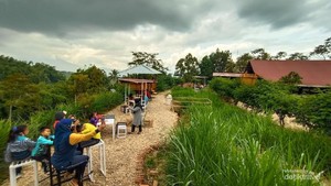 Sedang Hits, Peternakan Sapi Perah di Agam