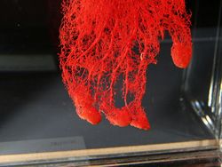 Sisi Lain Benda Sehari-hari yang Kamu Tidak Tahu