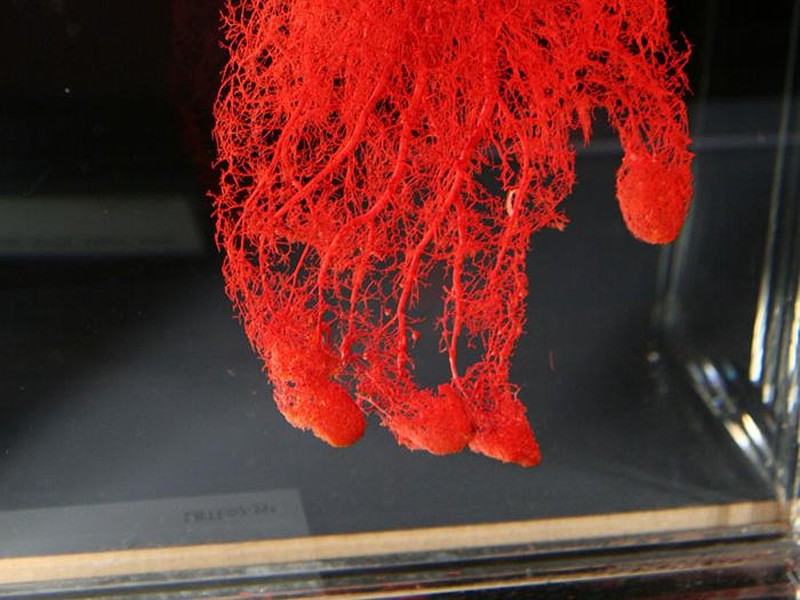 Sisi lain benda sehari-hari