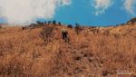 Mau Mendaki Gunung Sumbing? Siapkan 10 Syarat Ini Dulu