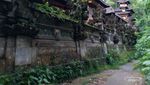 Treking Sambil Nikmati Alam di Bukit Campuhan, Bisa!