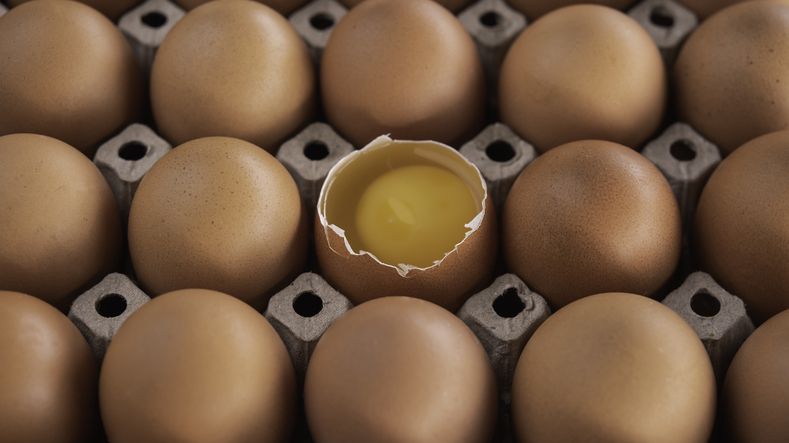 Viral Telur Ayam dengan Kulit Bergelombang, Apa Aman Dimakan?