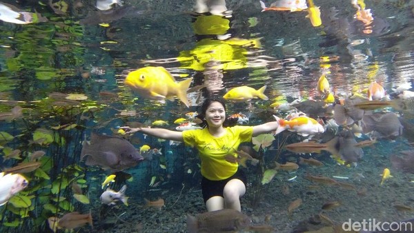 Traveler bisa menggunakan kendaraan roda dua maupun roda empat sebagai transportasi. Di sini kalian bisa selfie underwater bersama ikan-ikan. Seru banget! 