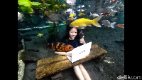 Untuk menikmati liburan di wisata alam Tirtosari ini, harganya sangat murah meriah. Wisatawan cukup menyiapkan uang tiket masuk sebesar Rp 5 ribu saja per orang. 