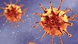 Kemenkes Klaim Belum Temukan Jenis Virus Baru COVID-19