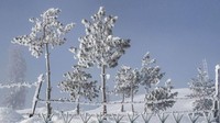 Saking sepinya, Gulmarg disebut kota hantu.
