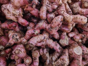 10 Manfaat Jahe Merah, Rimpang Ajaib yang Bisa Atasi Penyakit Ini