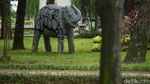 Kasihan, Gajah Ini jadi Korban Vandalisme