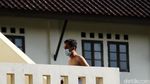 Melihat Pasien OTG Corona Olahraga di Wisma Makara UI
