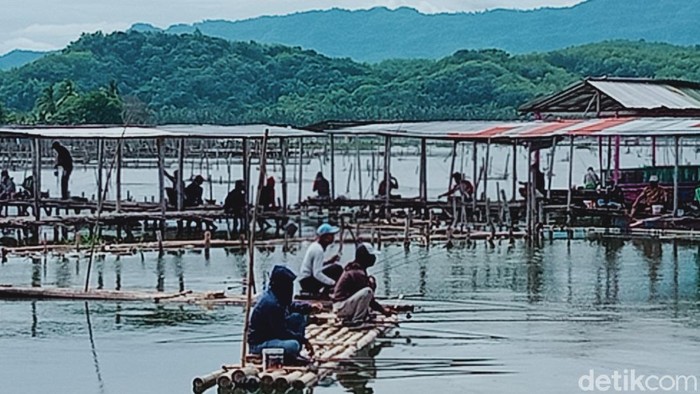 Para penghobi mancing di objek wisata Rawa Jombor, Kecamatan Bayat, Klaten.