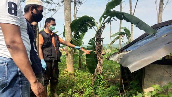 Polisi mengecek TKP penemuan mayat wanita berdaster di gubuk sawah  Desa Makam, Kecamatan Rembang, Kabupaten Purbalingga