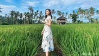 Keren banget, kan sawah Mangaran buat berfoto?
